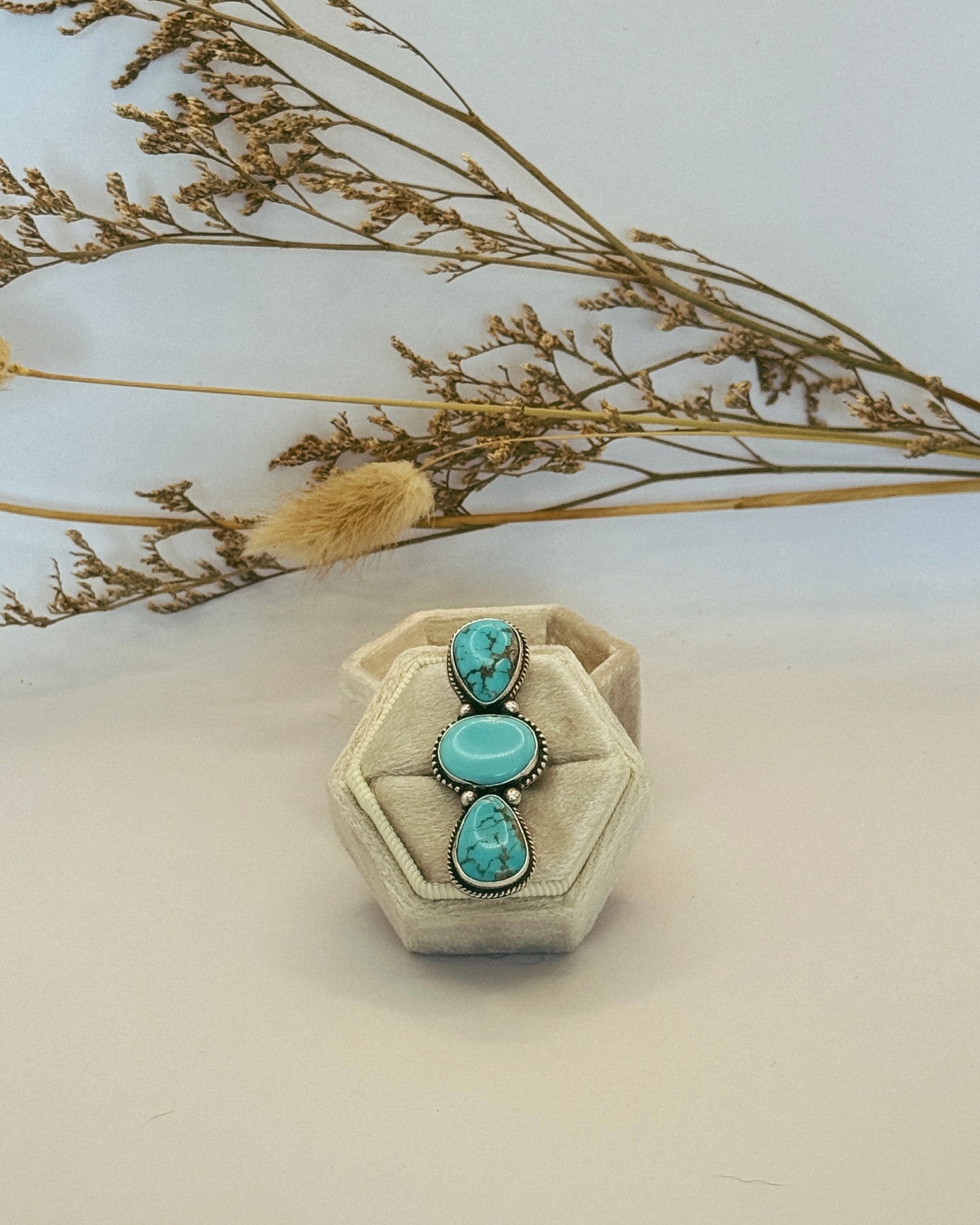 The Shiloh Ring