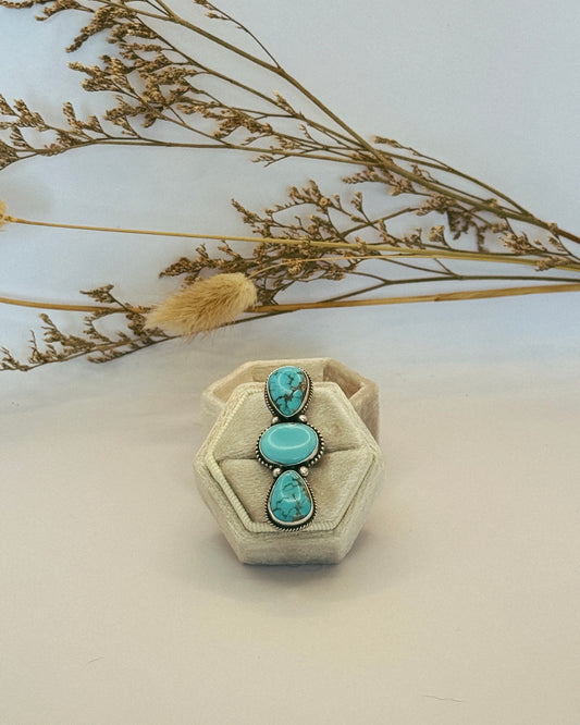 The Shiloh Ring